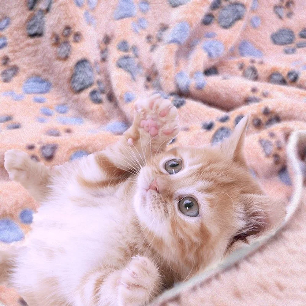 Одеяло HiCoDo-Pet полотенце для кошек одеяло туалета собак спальные принадлежности