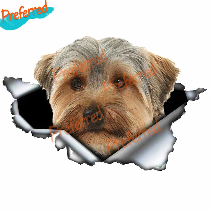 

Dawasaru Yorkshire Terrier Lovely Pet Dog Decal Motocross Racing Laptop Helmet Trunk Wall Vinyl Car Sticker Die Cutting