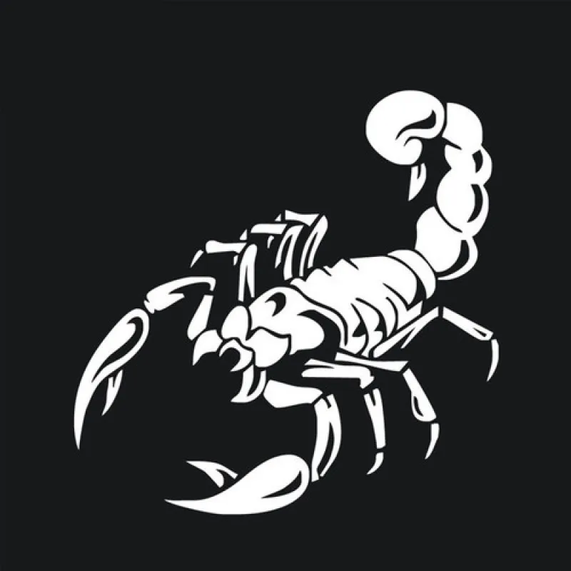 

Car Sticker Personality Scorpion Hood Sticker Spare Tire Sticker