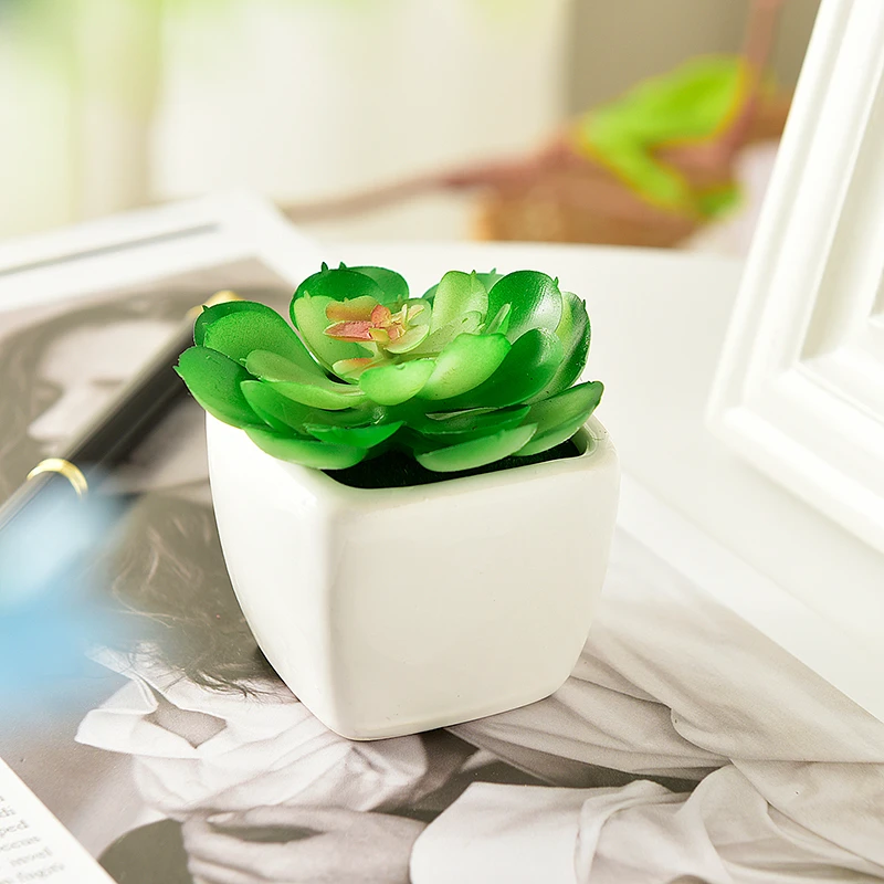Моделирование искусственных растений кактуса в горшке горшок для суккулентов
