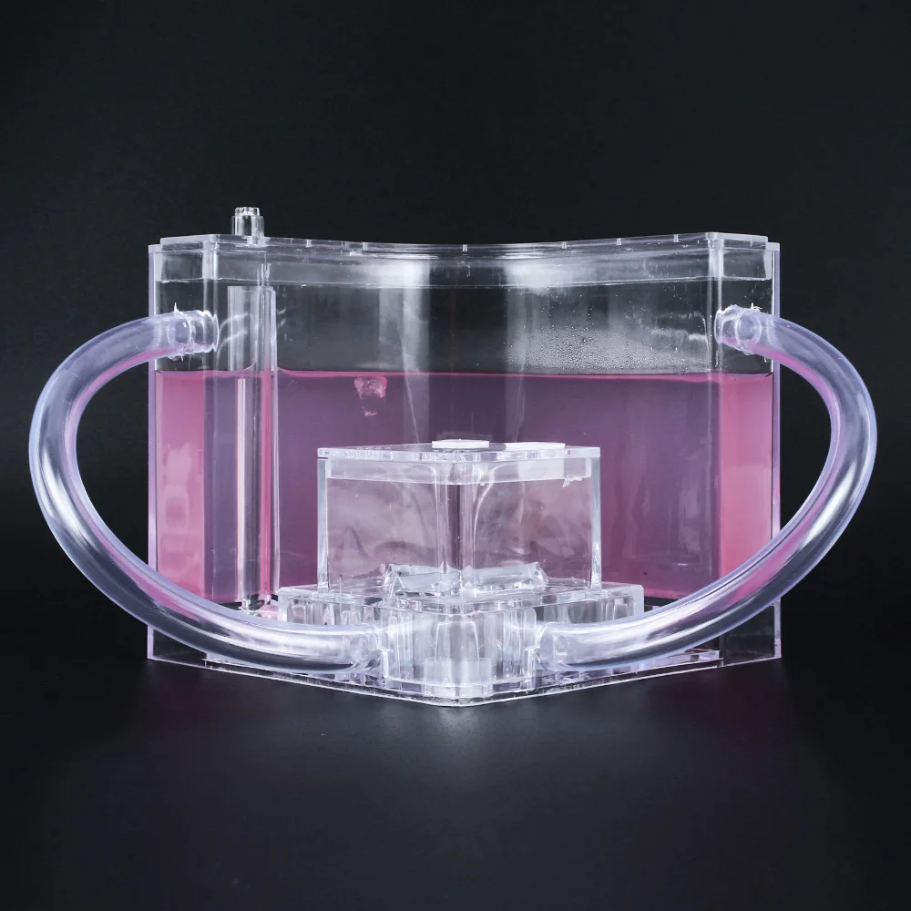 Красочные муравьиные домики прозрачные Смешные специально вилла Домашнее