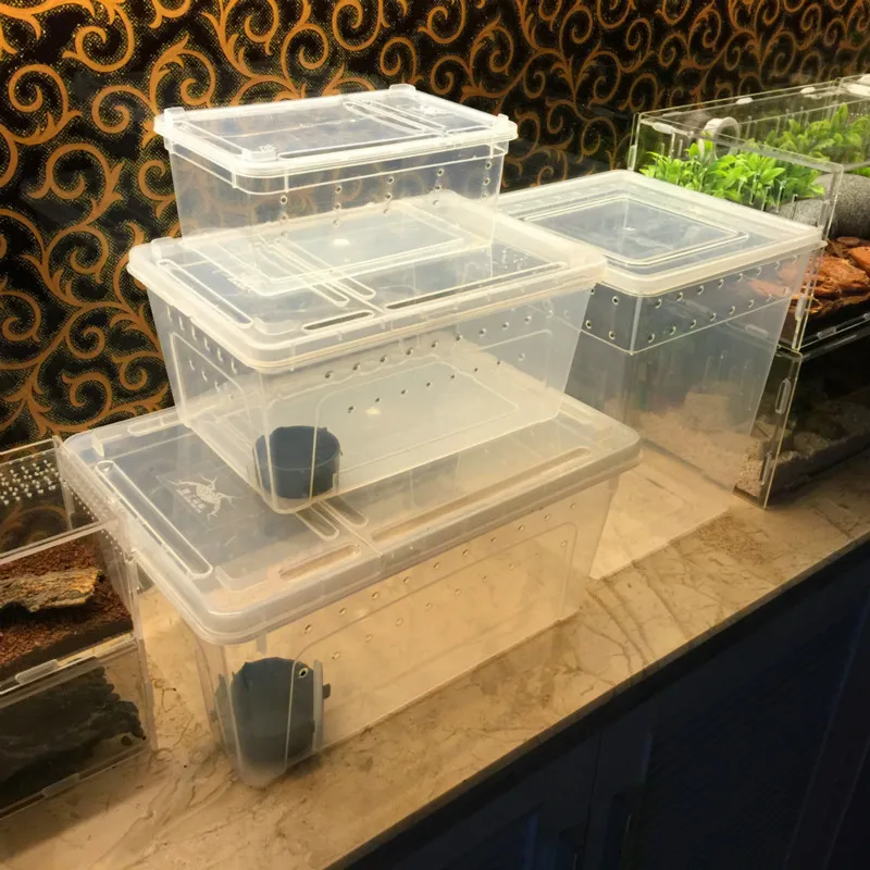 

1PCS The Pet Products Raising Box Is Suitable for A Live Crawler-box Spider A Frog-shaped A Pet-climbing and Feeding Insect Box