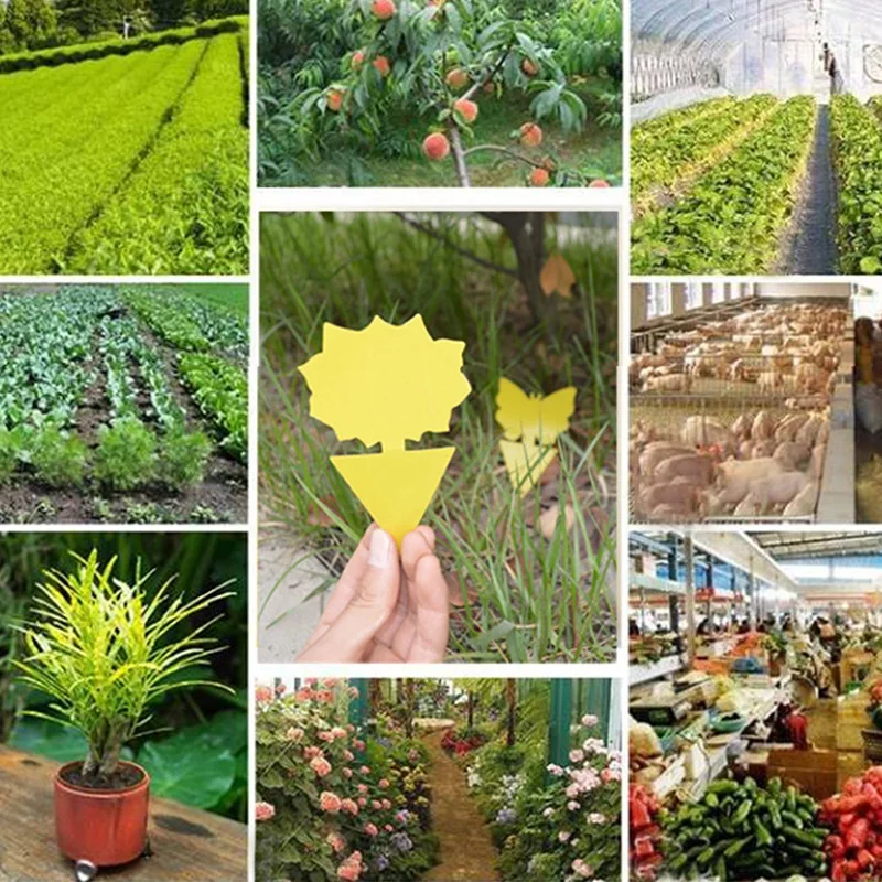 

10Pcs Dual-Sided Yellow Fruit Fly Sticky,Pest Control Traps for Mosquitoes Whitefly Small Insects Houseplant Bug Catcher