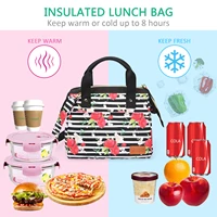 mochila termica porta alimentos neveras portatil para almuerzo picnic accessories bag basket pique nique pochette isotherme sac