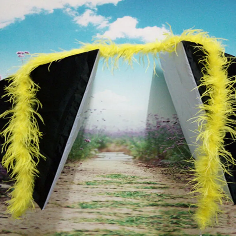 Новое поступление! 2 м/лот страусиные перья боа костюмы/отделка для