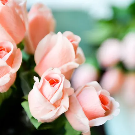 champagne pink core 2 шт., настоящая на ощупь, латексная Роза, на ощупь, войлок, имитация для дома, свадьбы, Декоративные Искусственные Силиконовые розы, букет цветов - Цвет: champagne pink core