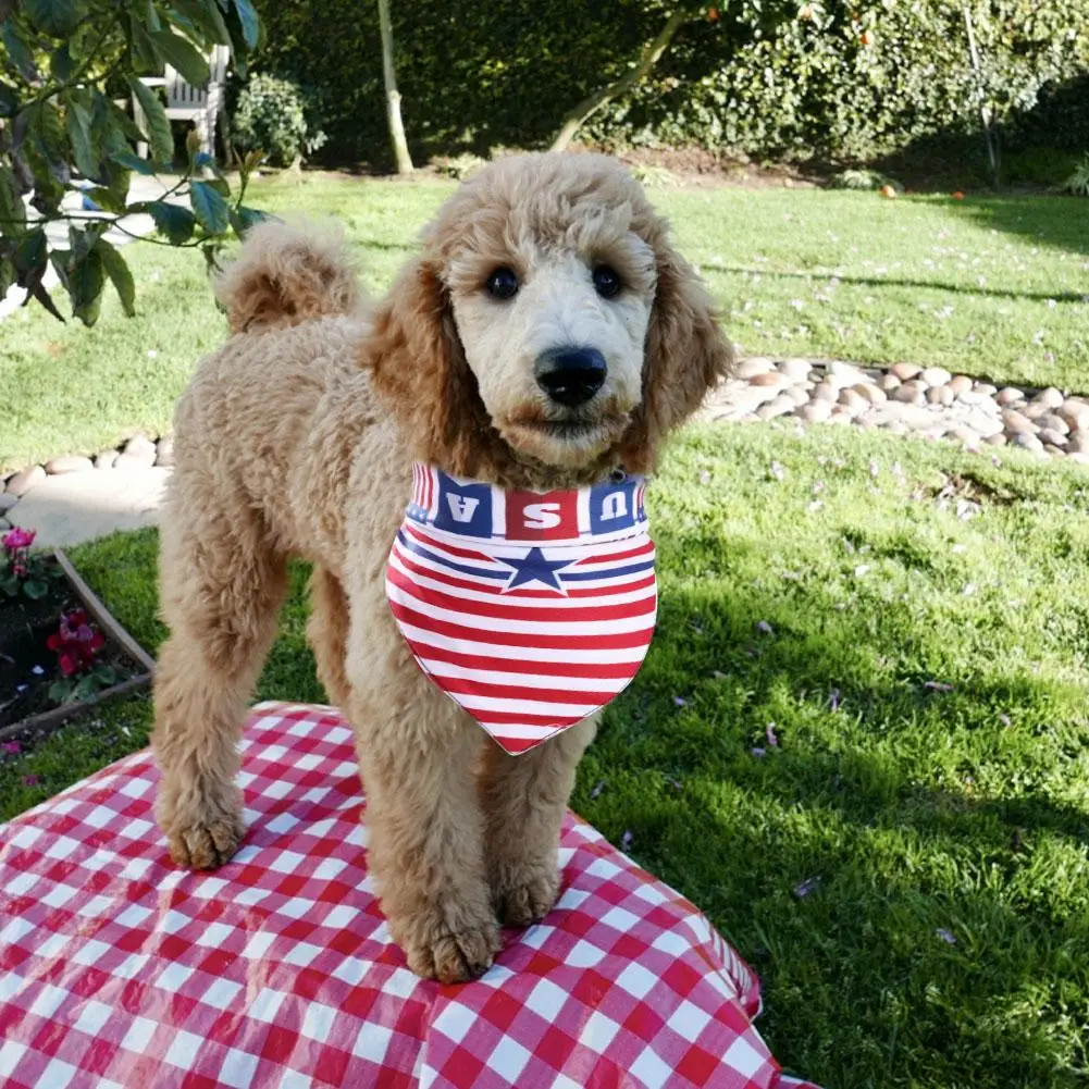 1 шт. треугольная Слюнявчик с изображением кошек|Аксессуары для собак| |