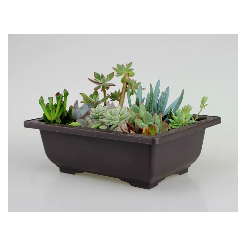 1 шт. пластиковый цветочный горшок для суккулентных растений бонсай питомник