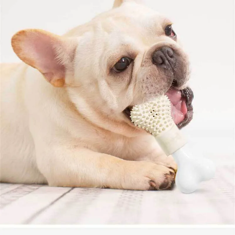 

Puppy Chew Toys Cute Bone Shape Design Pet Molar Bite Toy Dog Teeth Grinding Stick Gnawing Teeth Clean Bone Dog Tooth Brush