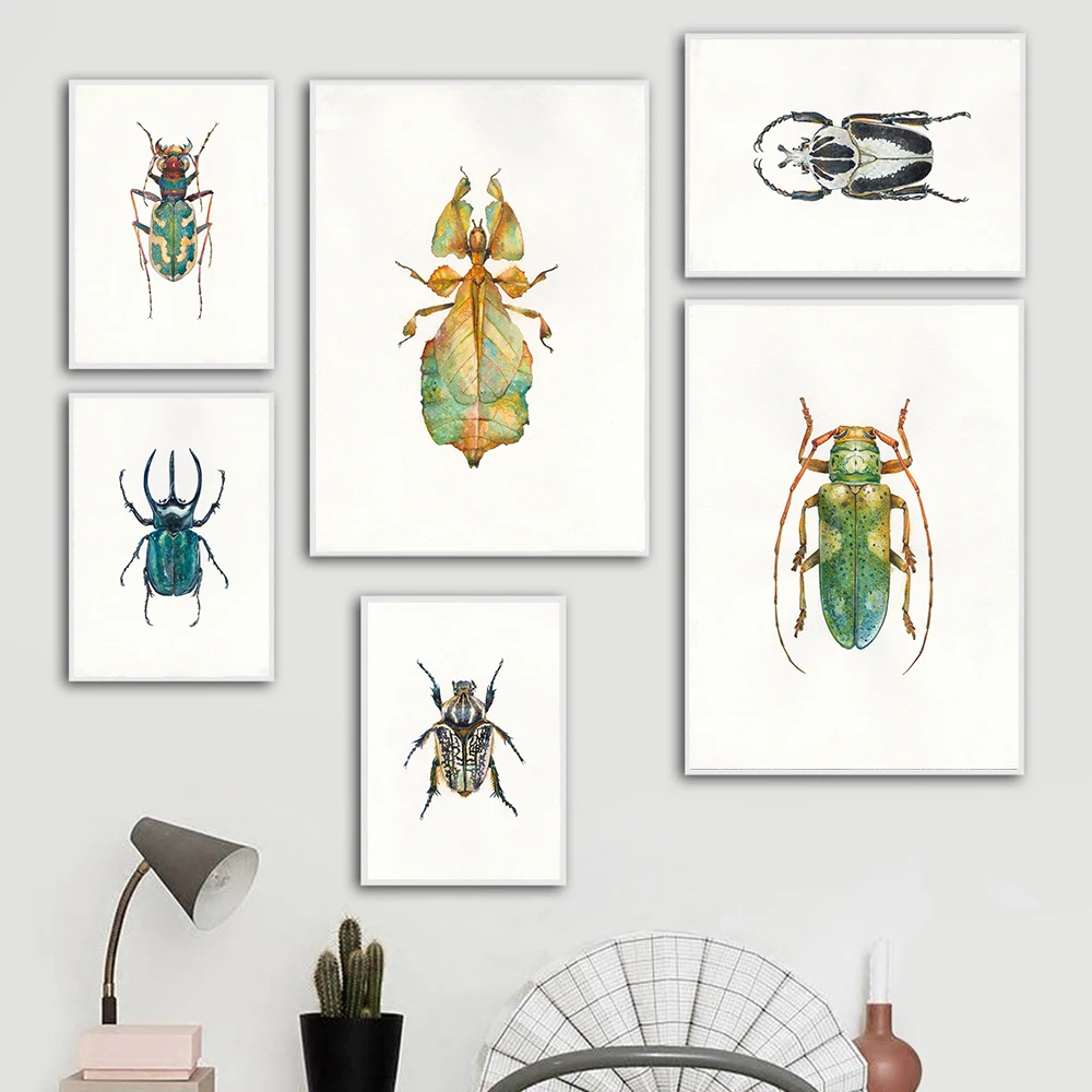 

Beetles Art Prints poster Watercolor Bugs Canvas Painting animal Wall Decor picture home decor art prints artwork Bugs Collectio