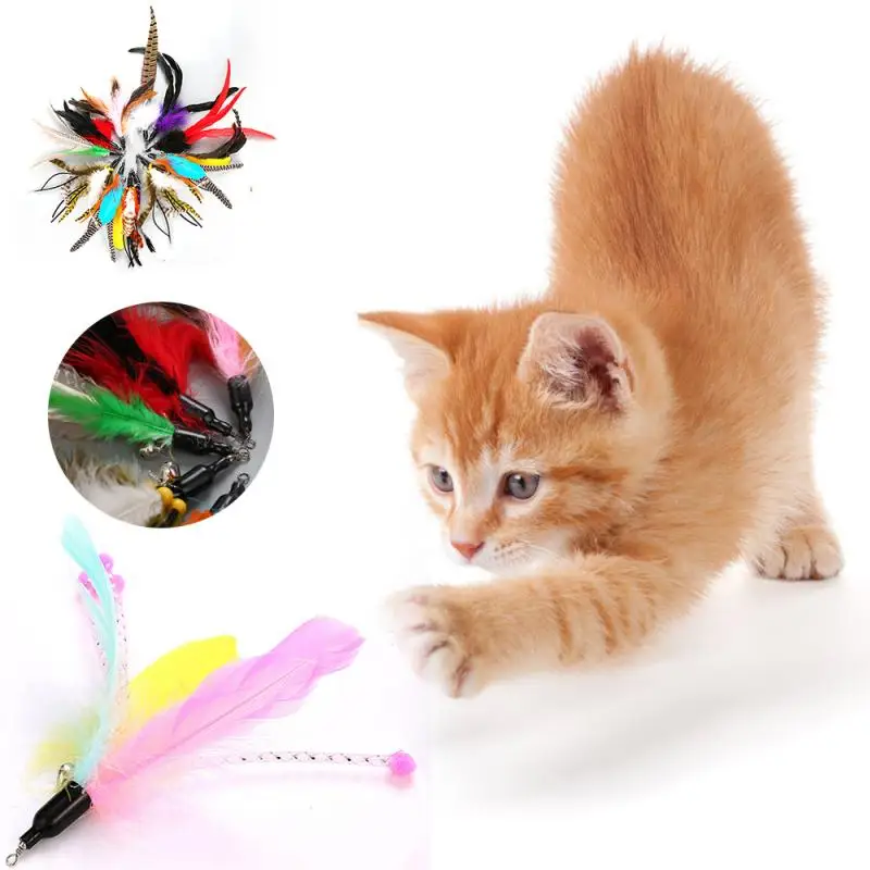 

Cat Interactive Toy Colorful Turkey Feathers Tease Cat Sticks Pet Feather Teaser Stick Pet Toys Products Tools Random Color