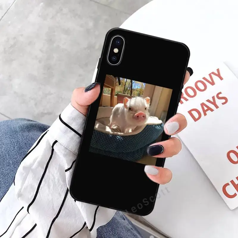 

Petpig Phone Case for iPhone 11 12 mini pro XS MAX 8 7 6 6S Plus X 5S SE 2020 XR