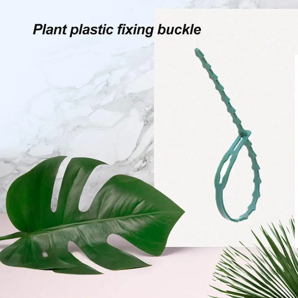 Новый 20 шт. сад стяжки Пластик кабельные самоблокирующийся завод Поддержка