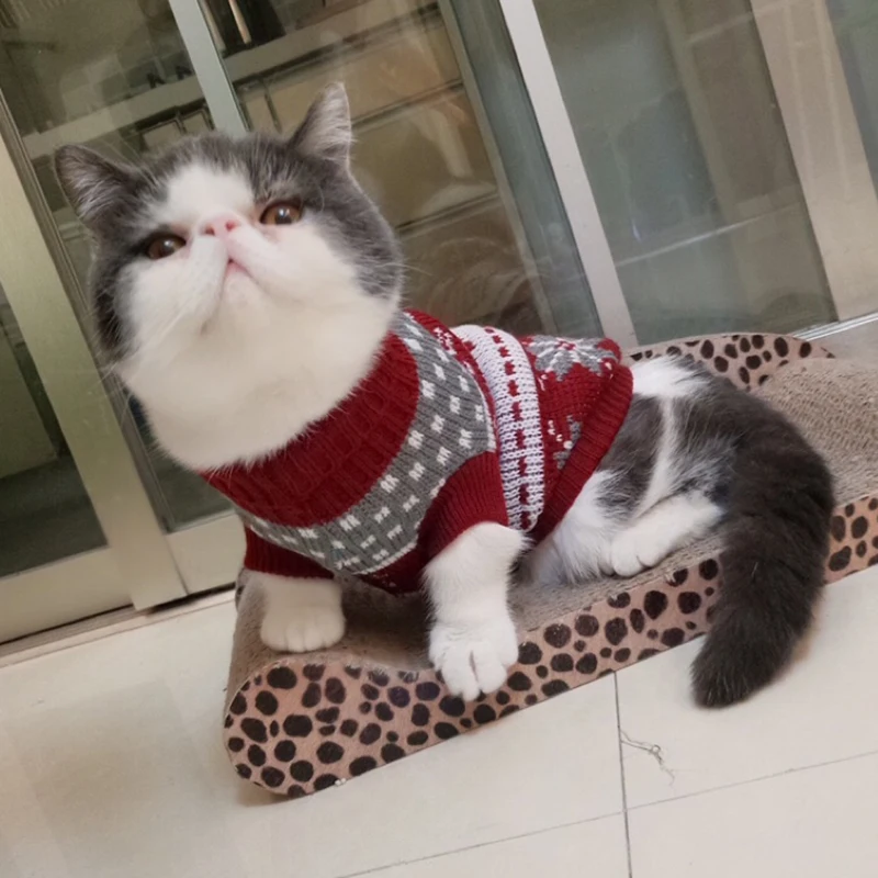 Милый костюм-свитер для кошек теплая одежда домашних животных Kitty товары Katten Kedi