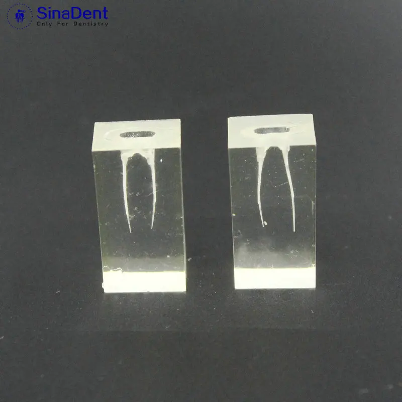 1 шт. Стоматологическая модель тренировочный блок для эндонтических корневых