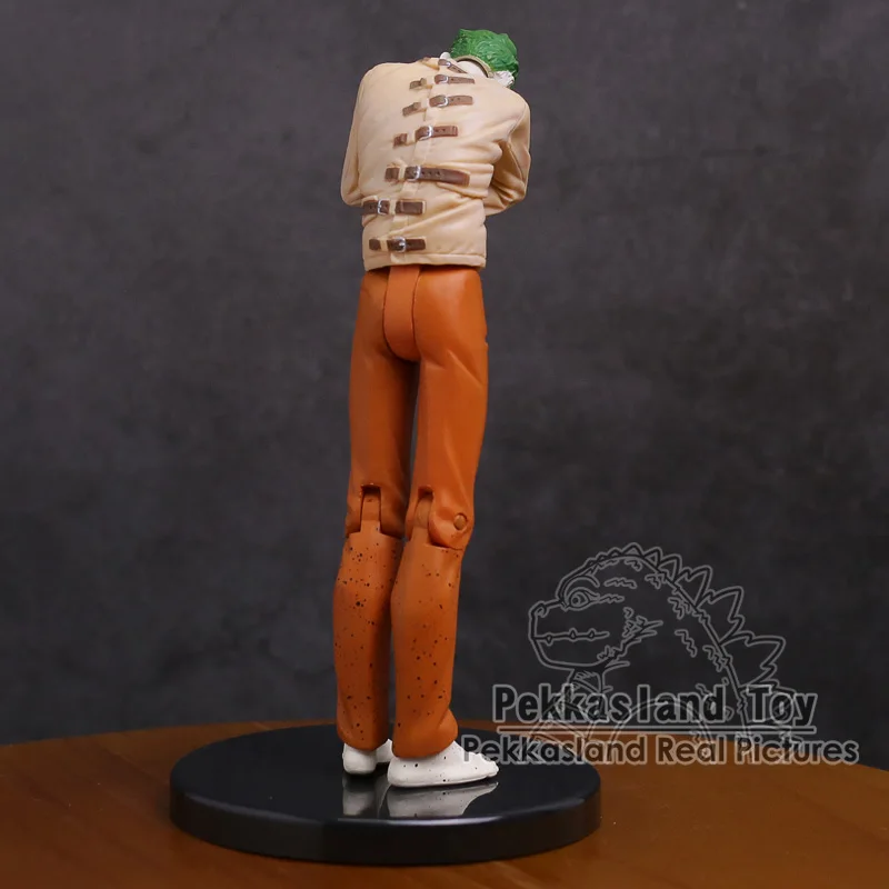 

Bruce Wayne Arkham Asylum The Joker Sick PVC Action Figure Collectible Model Toy 17cm