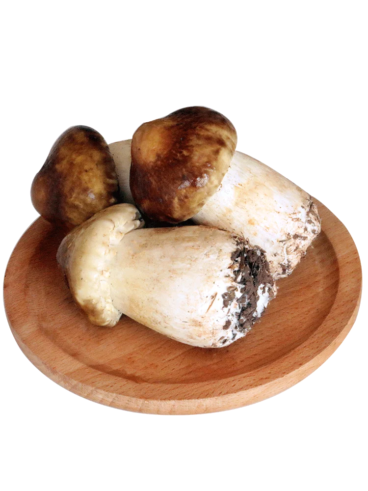 

The girl ji songrong mushroom fresh 500 g chopped red pine fresh truffle in brown