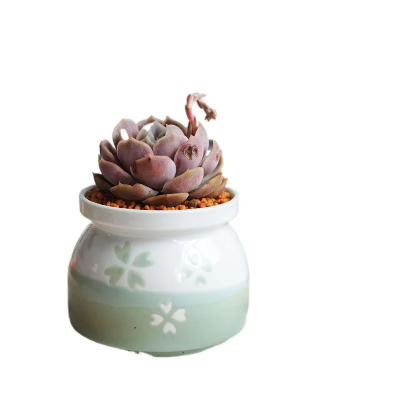 Мини керамический плантатор ручной работы из зеленого фарфора для офиса