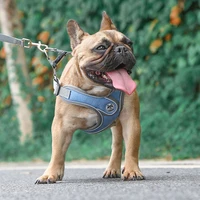 dog harness and leash set reflective dog harness vest dog leash collar small pet dog bull terrier chihuahua walking training