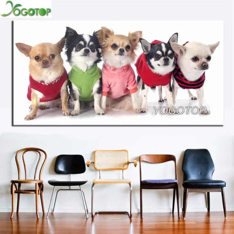 Алмазная 5d картина большого размера сделай сам милая 3d вышивка чихуахуа по