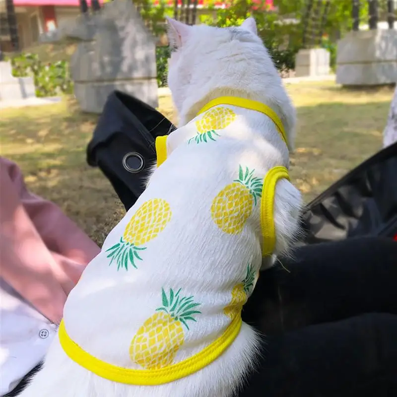 Жилетка для собак питомец летняя рубашка защита от солнца Пляжная дышащая Милая