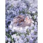 Картина маслом по номерам для взрослых, 60x75 см