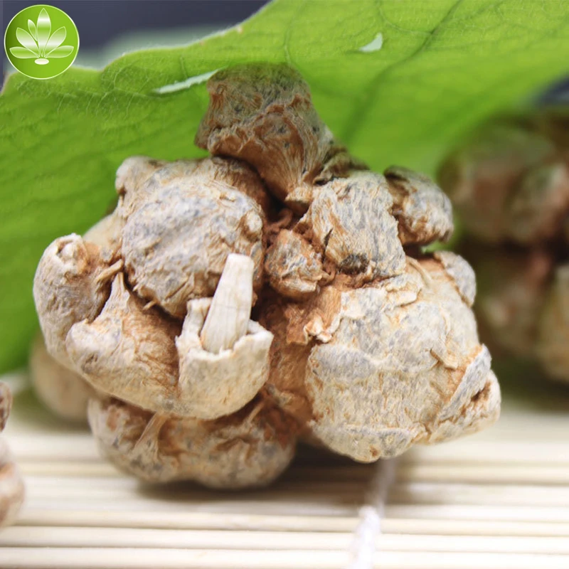 Panax Notoginseng Tian Qi Root Radix Organic Yunnan Sanqi Powder |