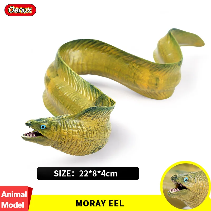 

Oenux Undersea Marine Animals Moray Eel Simulation Sea Life Animal Conger Model Figurines Action Figures Learning Toy For Kids
