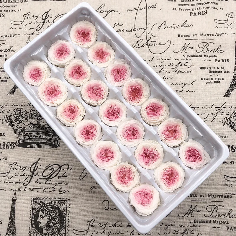 

21PCs/Box Preserved Fresh Flower Austin Rose Immortal Real flowers Rose In Box Party Decorations Wedding Home Decor Class A