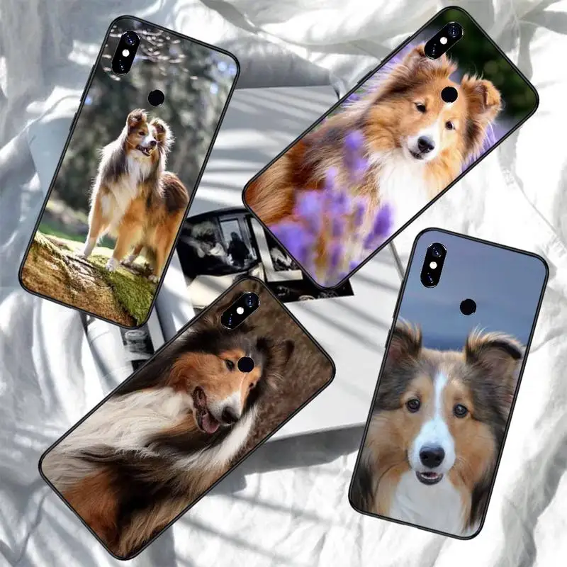 

Sheltie dog cute animal Phone Case For Xiaomi Redmi note 7 8 9 11 i t s 10 A poco f3 x3 pro lite funda shell coque cover
