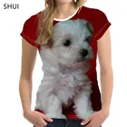 Новинка 2021, мужская и женская одежда для пары, футболка с 3D принтом животных, кошек и собак, Уличная Повседневная одежда в стиле Харадзюку