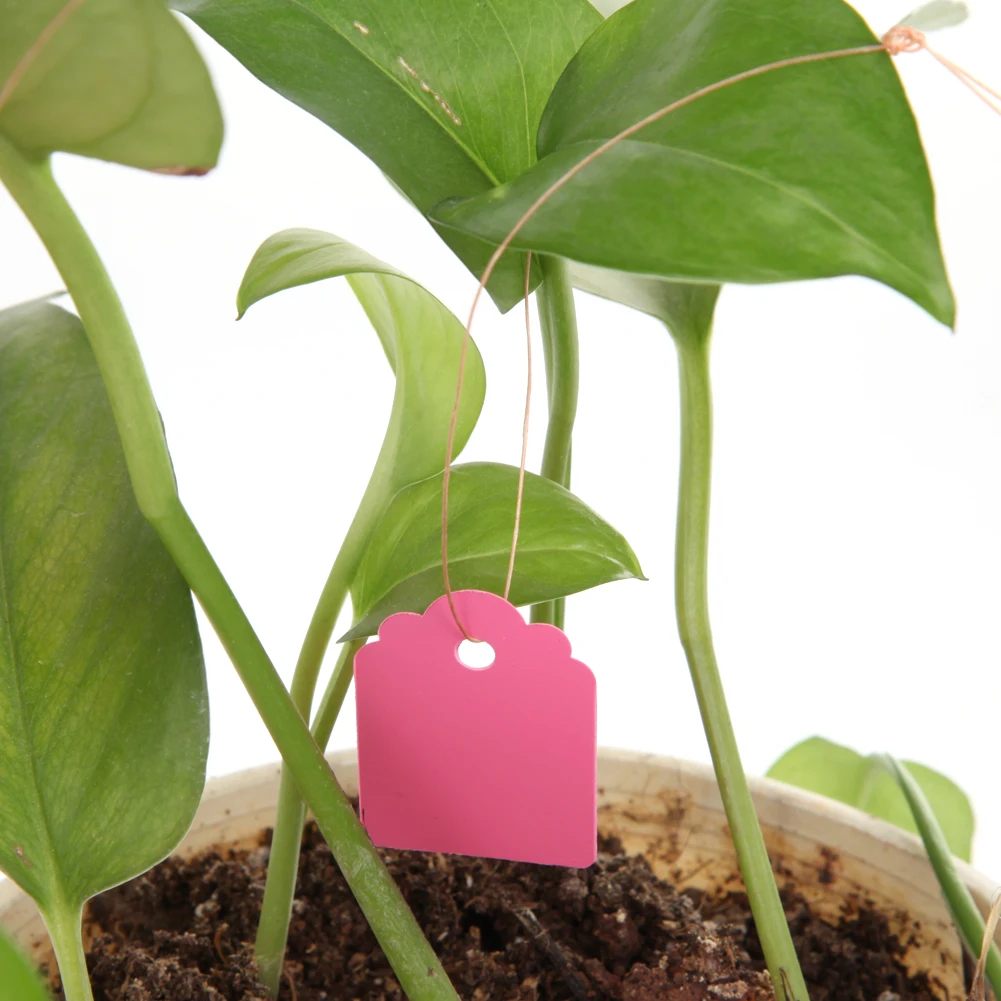 

100Pcs T-type Plastic Nursery Garden Plant Label Flower Tag Mark
