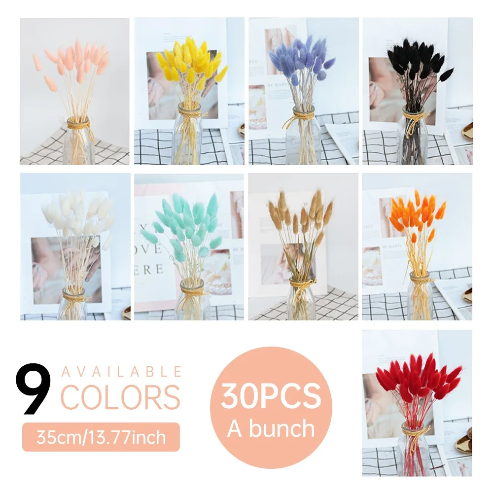 

30Pcs Rabbit Tail Grass Natural Dried Flowers Wedding Decor Home Decoration Girls Gift Flower Arrangement Real Flower Grass Prop