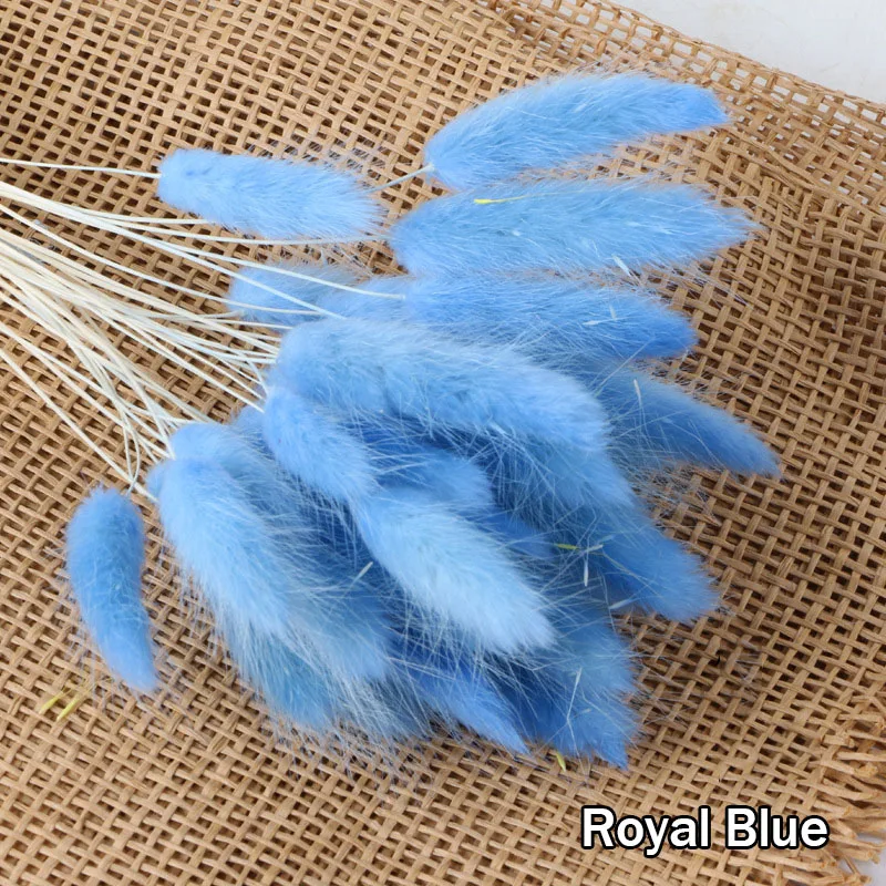 

30Pcs Natural Dried Flowers Rabbit Tail Grass Bunch Colorful Lagurus Ovatus Real Flower Bouquet for Home Wedding Decoration Gift