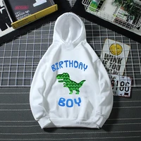 kawaii dinosaur hoodie birthday boy hoodie fidget toys pop it hoodie boy girl kids clothes long sleeve sweatshirt