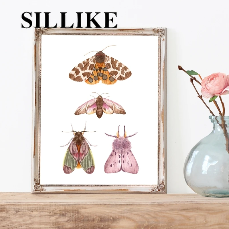 

Illustrations Insects Prints Hand Painting Posters Educational Wall Art Decor Moth Nature Decoration Retro poster kraft paper