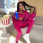 Женский Бархатный спортивный костюм, уличный сексуальный костюм из двух предметов, укороченная куртка с длинным рукавом и леггинсы, однотонный повседневный костюм, Осень-зима
