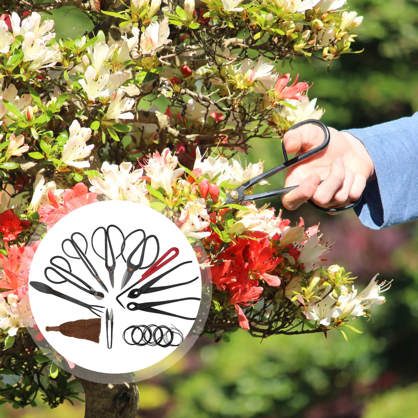 

1 Set Of Pruning Shears Gardening Tool Set Trimming Scissors Plant Branches Pruning And Pruner Hardware Tools