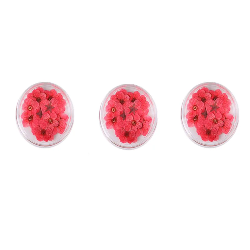 

Multi Usage Dried Flowers Nail Art Decoration DIY 20 Colors Dry Flower Manicure Decoration for UV Gel Acrylic Nail Art Tips