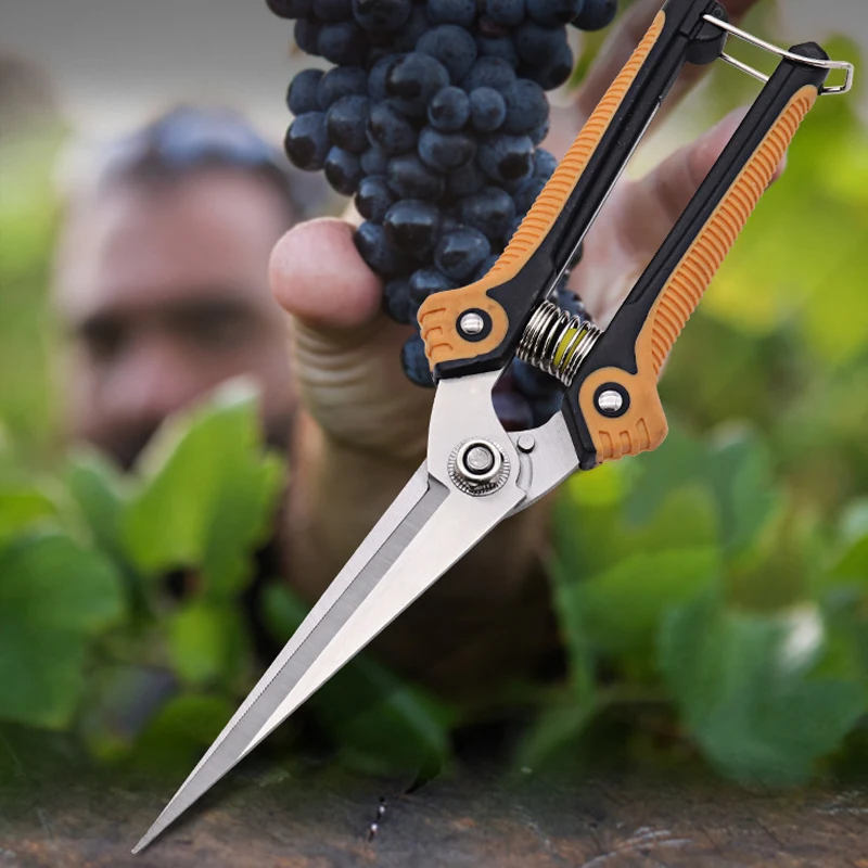 

Stainless Steel Garden Pruning Shears Fruit Picking Scissors Household Potted Trim Weed Branches Small Scissors Gardening Tools