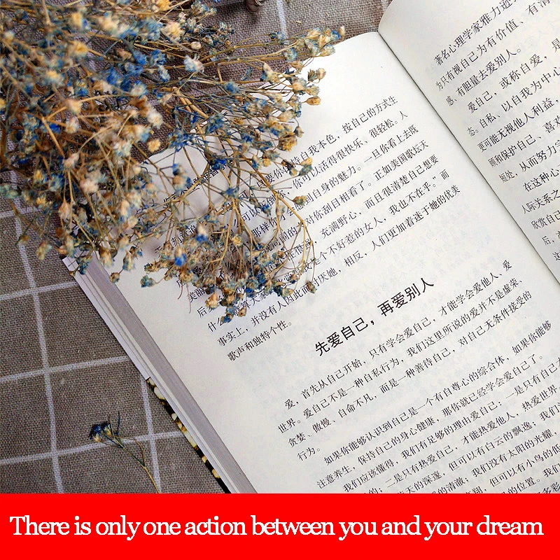 Soul Chicken Soup Five books you must read in life Literary novel inspirational bestseller