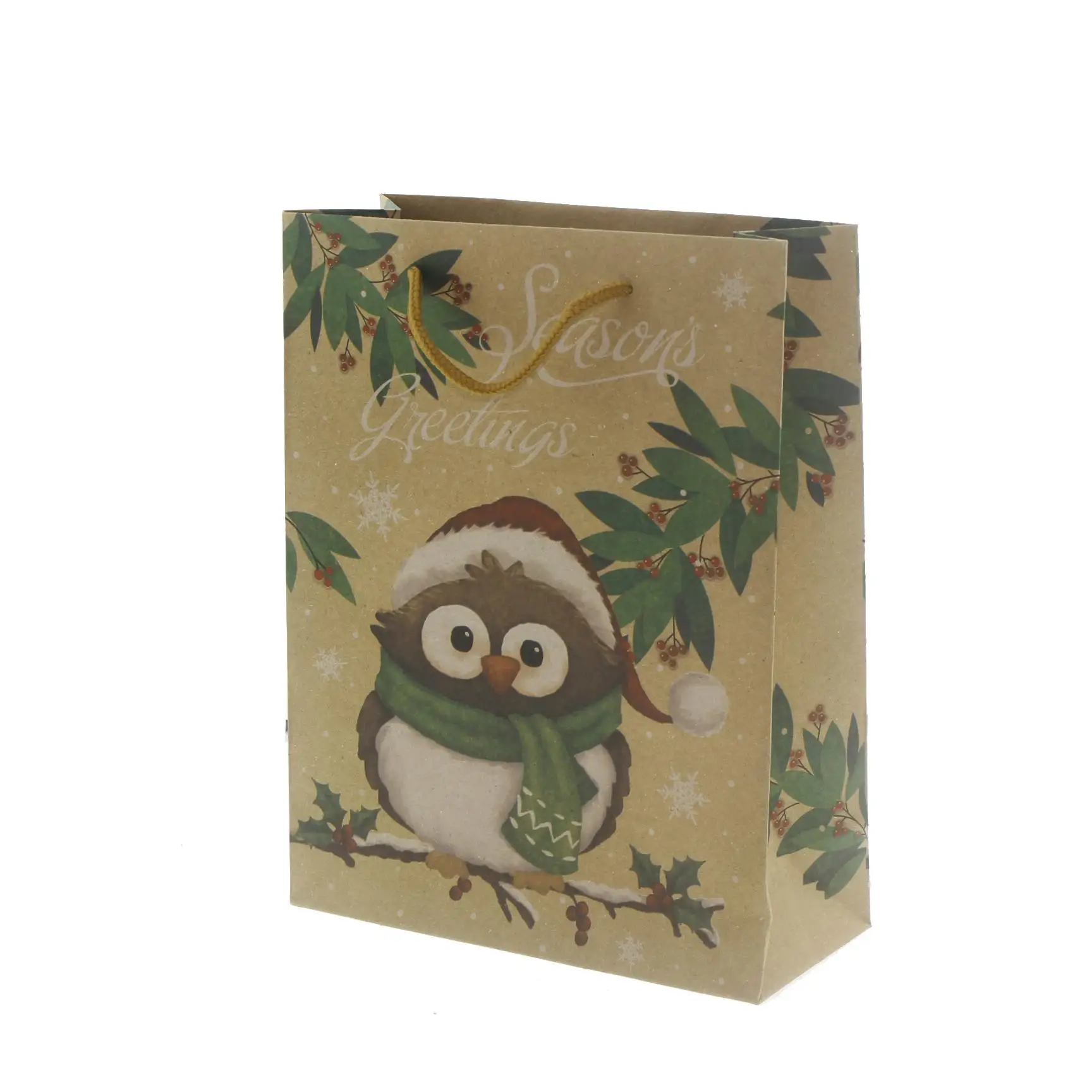 

6 Pieces 19x24cm Kraft Cardboard Bag Owl