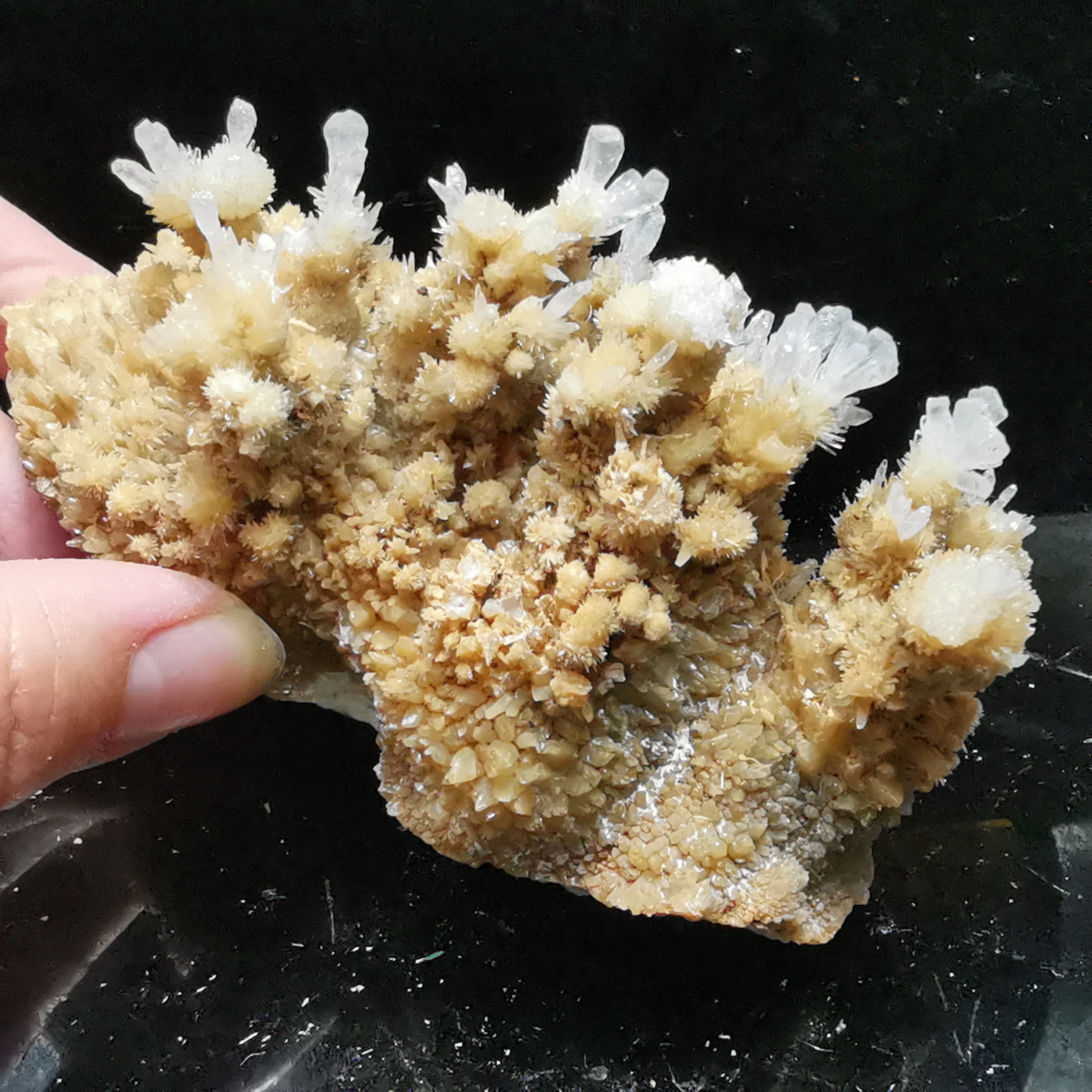 

192.6gNatural rare cactus flower calcite and crystal stone mineral specimen healing energy furniture decoration QUARTZ GEM