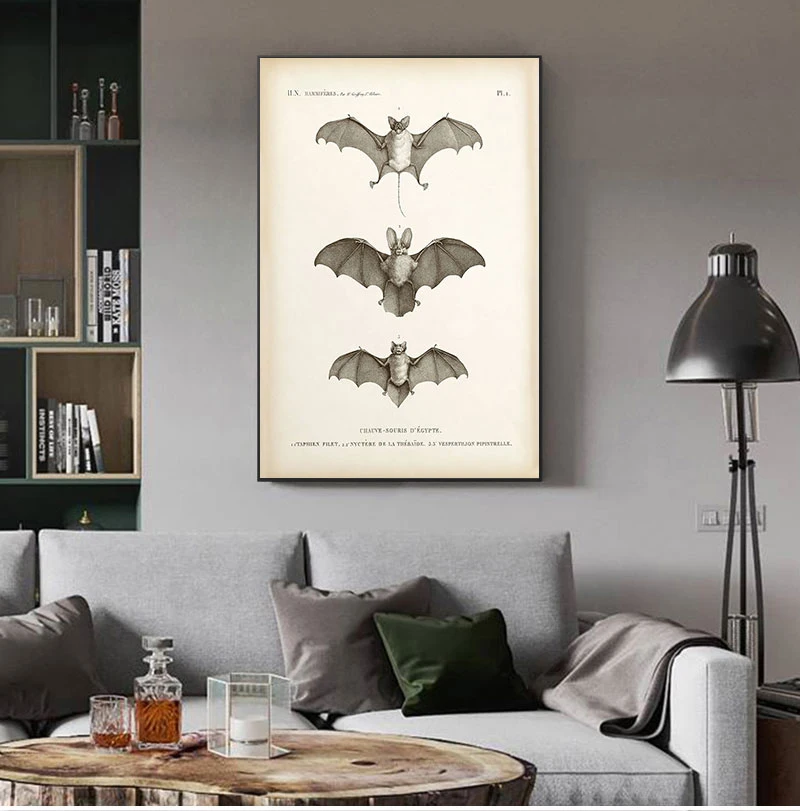 

Vintage Bat Print Halloween Wall Art Canvas Painting Antique Bat Animal Poster Wall Picture for Living Room Home Decoration