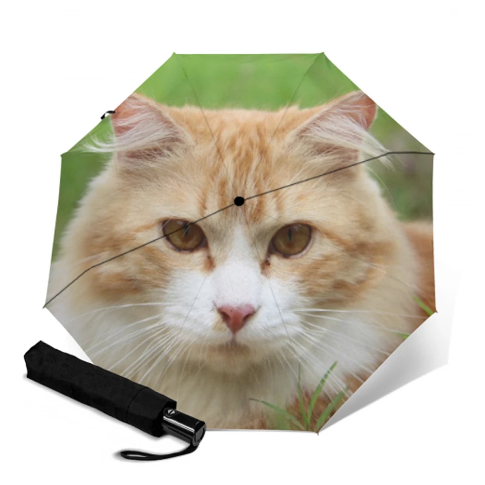 Автоматический зонт компактный складной зонтик от солнца с принтом котят для