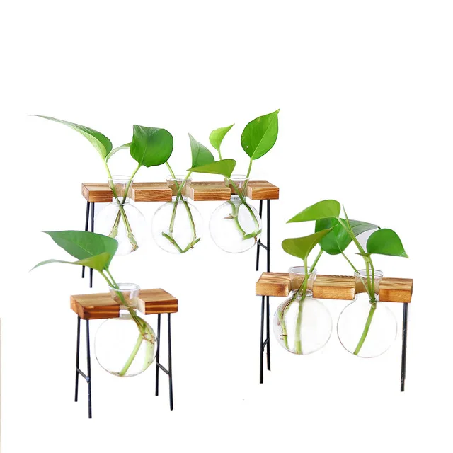 

Vintage Glass Flowerpot Tabletop Plants Bonsai Flower Wedding Vase Wooden Base Tray Home Decor Hydroponic Plant Vases Gifts