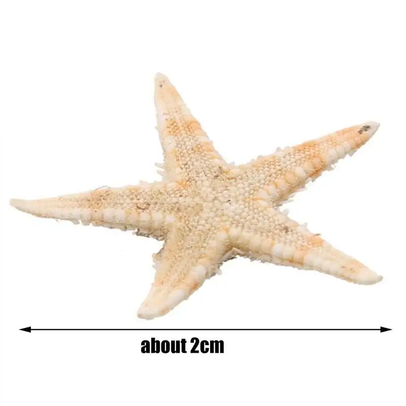 

100pcs/ Natural Starfish Sea Star Shell Craft Aquarium Home DIY Adornments