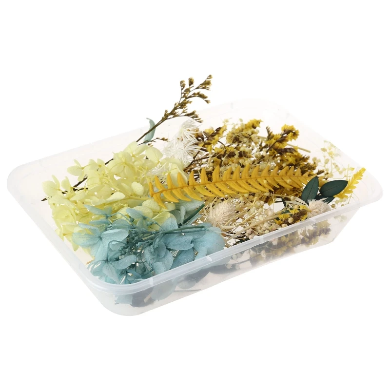 

1 Box Real Mix Dried Flowers for Resin Jewellery Dry Plants Pressed Flower