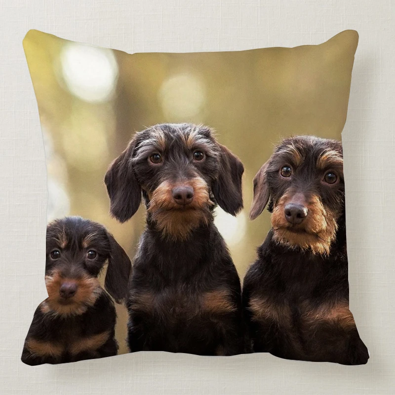 1 шт. 45*45 см милая собака подушка чехол Wirehaired подушки с таксой диван кровать автомобиль подушка чехол Спальня украшение в виде таксы Подушка бухта