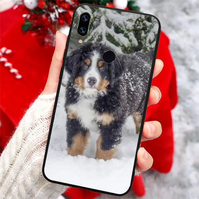

Bernese Mountain Dog Phone Cases For Xiaomi Redmi note 7 8 9 t k30 max3 9 s 10 pro lite